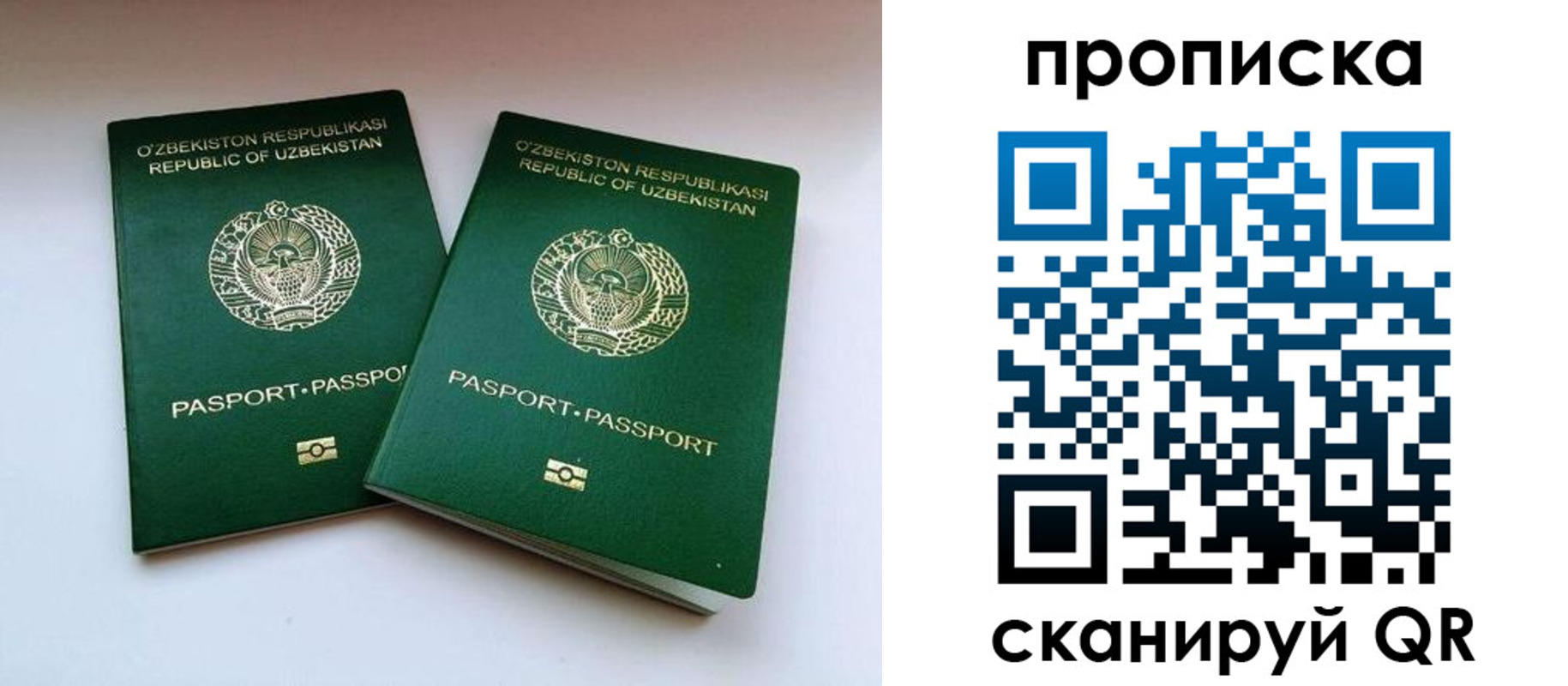 прописка поиск в Елабуге